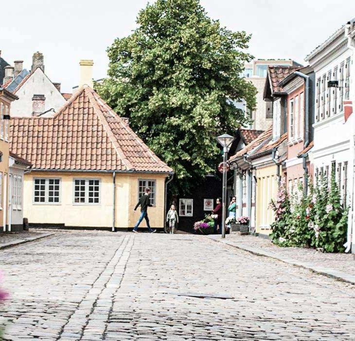 House Odense